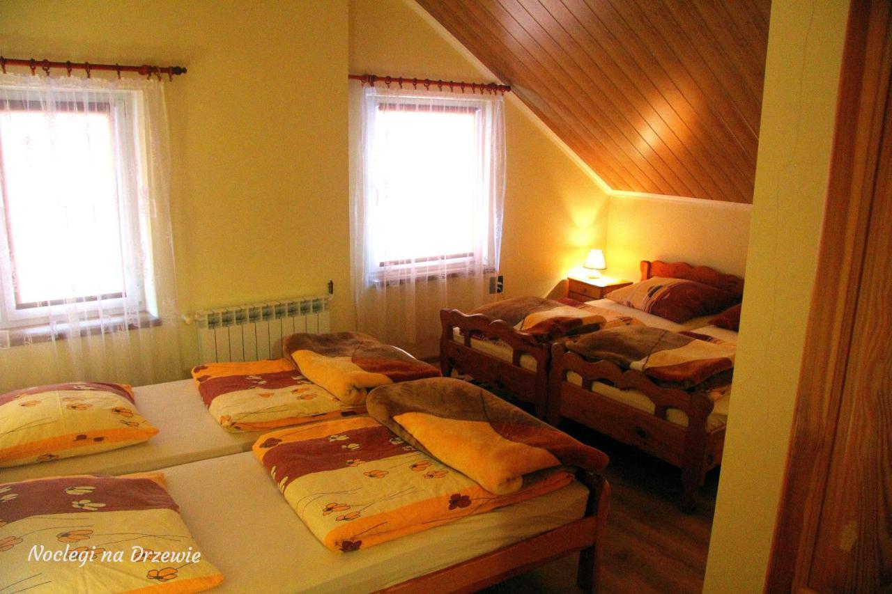 Noclegi Na Drzewie Cisna Exterior photo